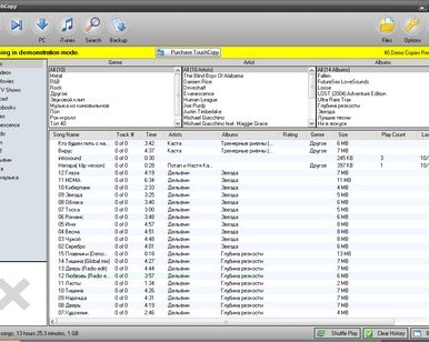 TouchCopy -- флешка из iPod'а
